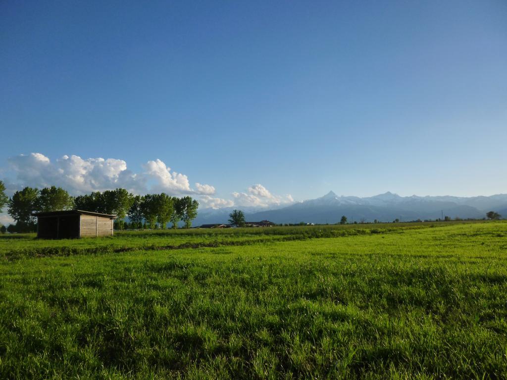 Tenuta Ajrale Vigone Exterior foto